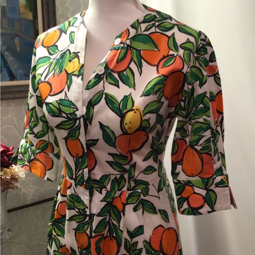 PRICE DROP! Gorgeous Citrus Print Dress w pockets - Picture 2 of 16